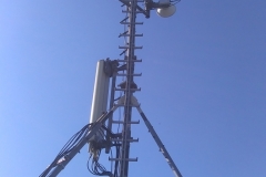 IMAG1039